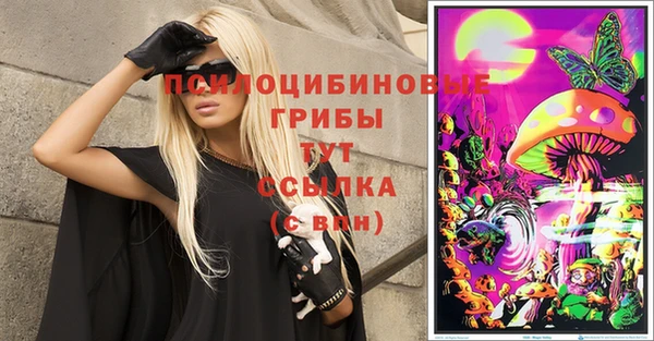 дурь Михайлов