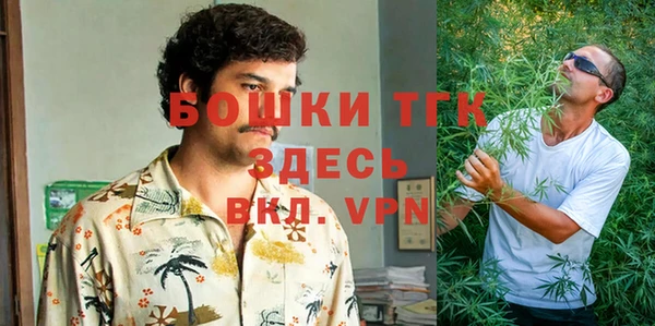 стафф Бородино