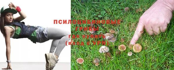 стафф Бородино