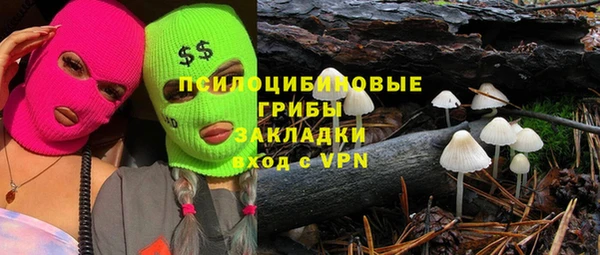 дурь Михайлов