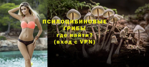 стафф Бородино