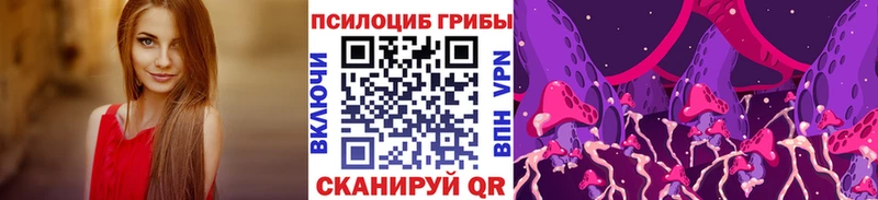 купить   Буй  Галлюциногенные грибы Magic Shrooms 